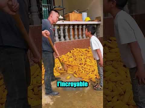 Ce petit génie révolutionne le travail