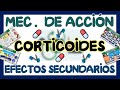 CORTICOIDES MECANISMO DE ACCIÓN Y EFECTOS SECUNDARIOS | GuiaMed