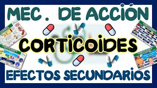 CORTICOIDES MECANISMO DE ACCIÓN Y EFECTOS SECUNDARIOS | GuiaMed
