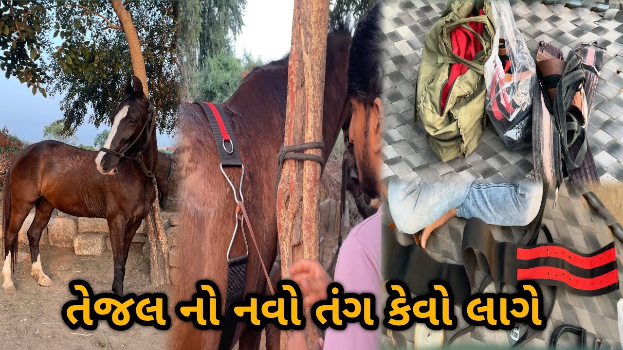 તેજલ નો નવો તંગ ચડાવ્યો😍 || હવે નવો સામાન કરી ને રાઇડિંગ કરવાની || VLOG 