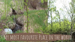 Relaxing Nature Walk Early Spring at my Favourite Place in the World @sewingfromscratch
