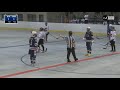 2018 U18 World Junior Ball Hockey Championship - USA vs. Switzerland