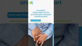 Understanding Prostate Problems: BPH, Prostatitis, and Prostate Cancer
