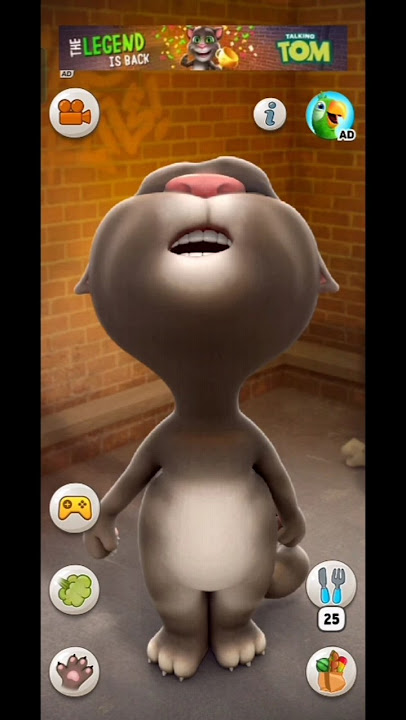 talking Tom cat 🤣😺 #shorts #trending #cat #youtubeshorts