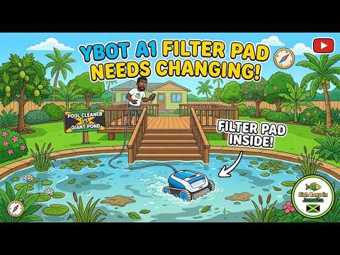 Wybot A1 Review: 3 Hidden Flaws I Discovered After 8 Weeks of Use