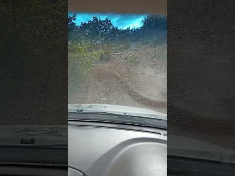 Lexus rx300 offroad