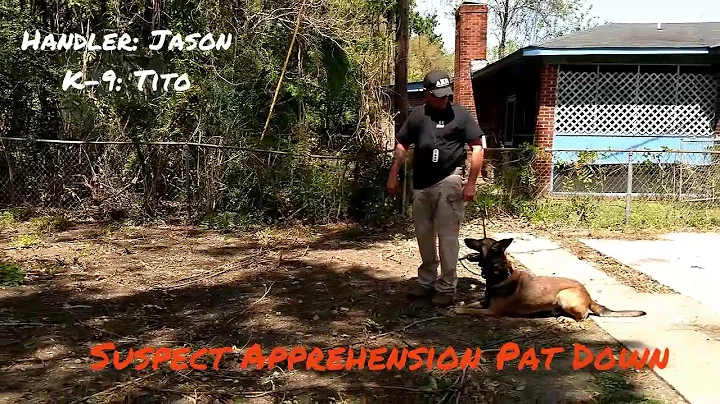 Covenant K-9 (Suspect Apprehension)