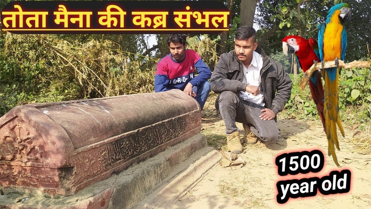 Sambhal Tota Maina Ki Qabar  