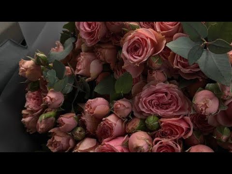 Космическое изобилие проявляется потоком денег в моей жизни. Космическое изобилие проявляется денежным потоком в моей жизни. Космическое изобилие проявляется потоком денег. Космическое изобилие проявляется потоком денег. Космическое изобилие проявляется потоком денег.