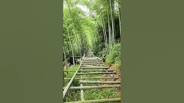 The transportation process of bamboo, good methods are worth sharing