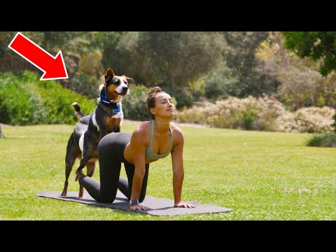 ¡Este perro sorprende a todos con lo que le hizo a la mujer que hace yoga! 😳
