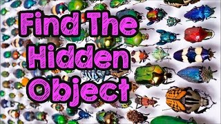 Can You Find The Object Hidden In Plain Sight? screenshot 2