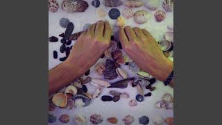 Organising Seashells for ASMR, Pt. 5
