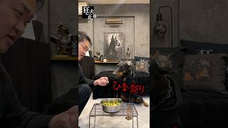 ドーベルマンにちらし寿司食わせてみた #ドーベルマン #ひな祭り