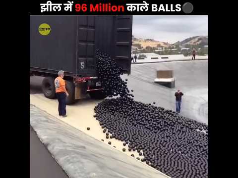 Why 96 Million