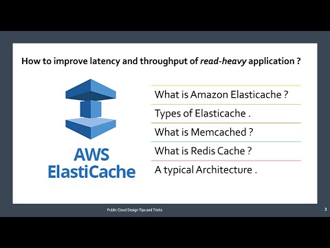 What is Amazon