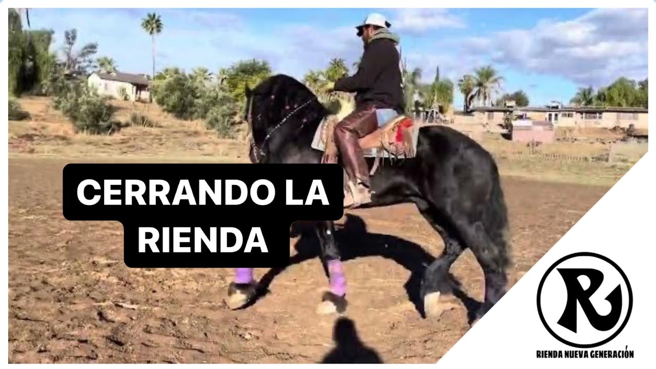 Cerrando la Rienda al frisón