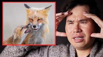 I studied 100,000 photos and here’s what I learned