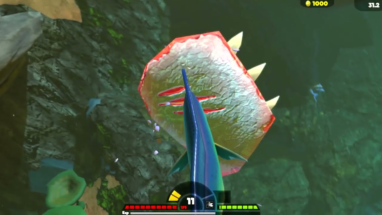 Feed & Grow Fish Mahi Mahi Vs Megalodon