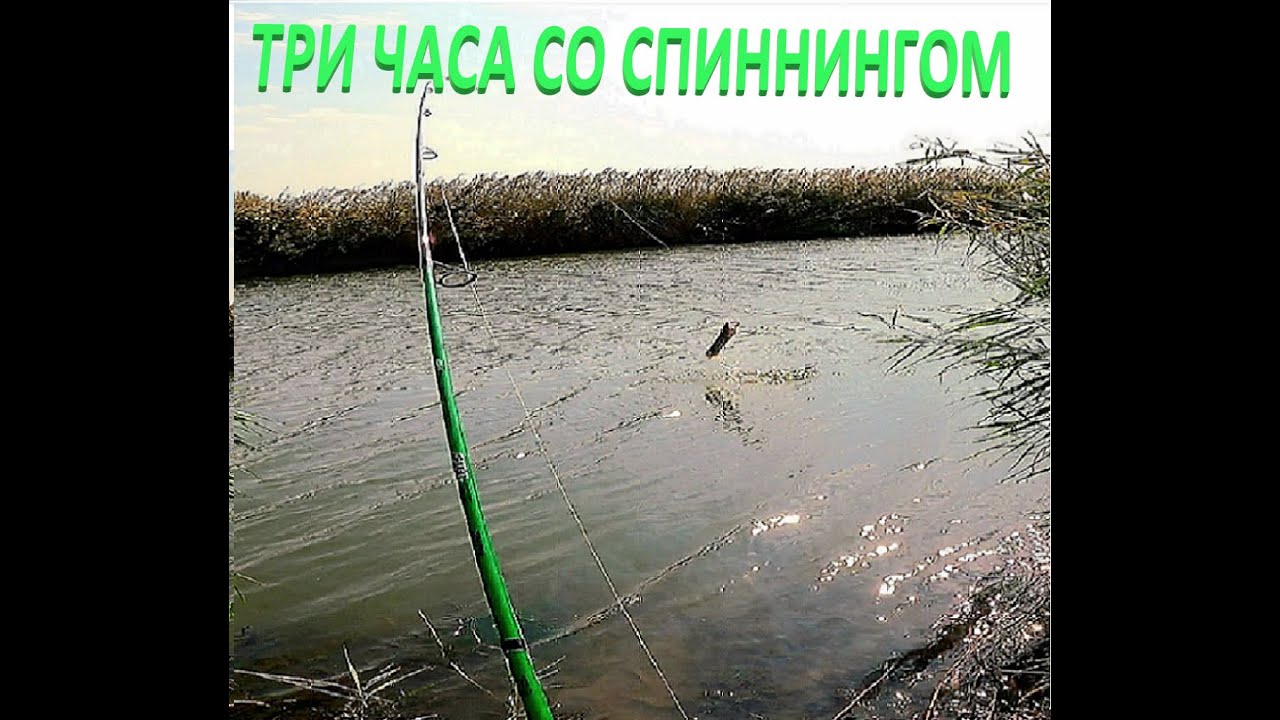 ТРИ ЧАСА СО СПИННИНГОМ