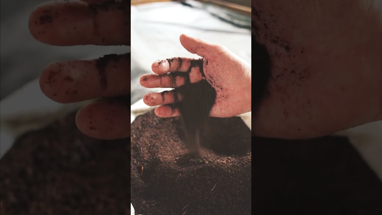 At Plasencia, superior quality is just in our nature. Crafted with care and reverence.