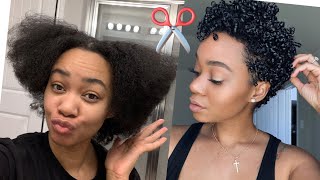 Tapered Cut/Trim on Natural Hair