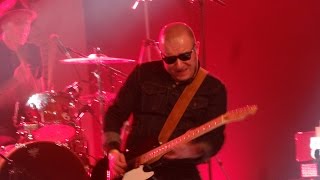 The Offenders -  (HD Live Berlin Ska City Festival 2016)