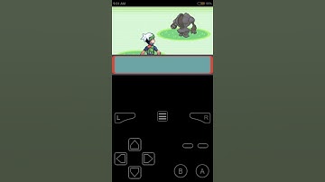 REGISTEEL Pokémon Cheat Code For Pokémon Emerald