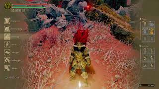 Elden Ring Stream! ICEING