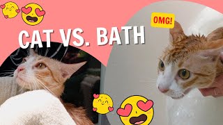 Funny moment of CAT taking a BATH 😺😡 by Mr Frodo 3,420 views 1 year ago 1 minute, 49 seconds