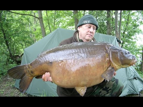 Video: Ich Traf Zwei Riesenfische In Der Karneolbucht Auf Der Krim, Koktebel - Alternative Ansicht