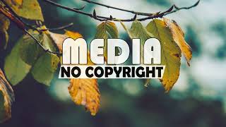 Don’t Forget Me - No Copyright Media