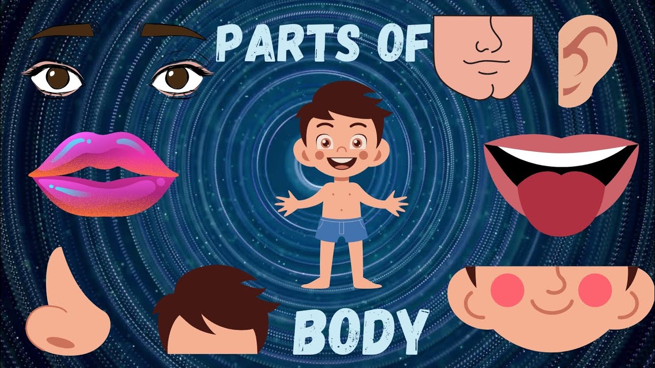 Kids vocabulary - parts of the body - Learn English for kids - English ...