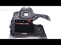 Canon (キヤノン) EOS 5D Mark IV ボディ 美品