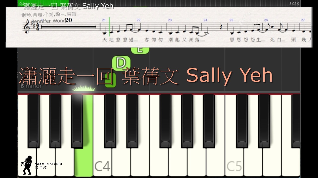 瀟灑走一回葉蒨文Sally Yeh - YouTube