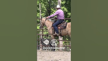 From the collection:  How To Teach a Horse To Work The Flag Part 3