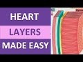 Heart Layers Anatomy Nursing: Pericardium, Epicardiium, Endocardium