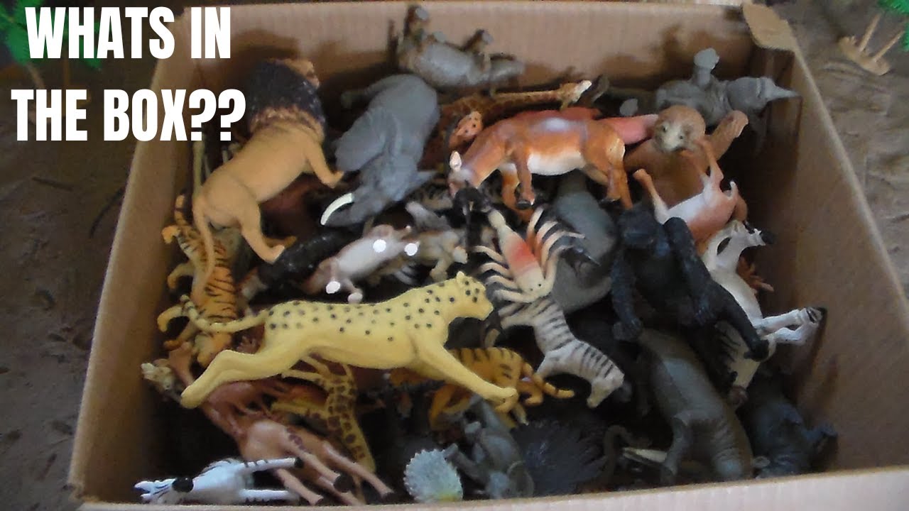 What's In The Box?: Toy Safari Animals Snakes Zebra Rhino Ghazel Lion!