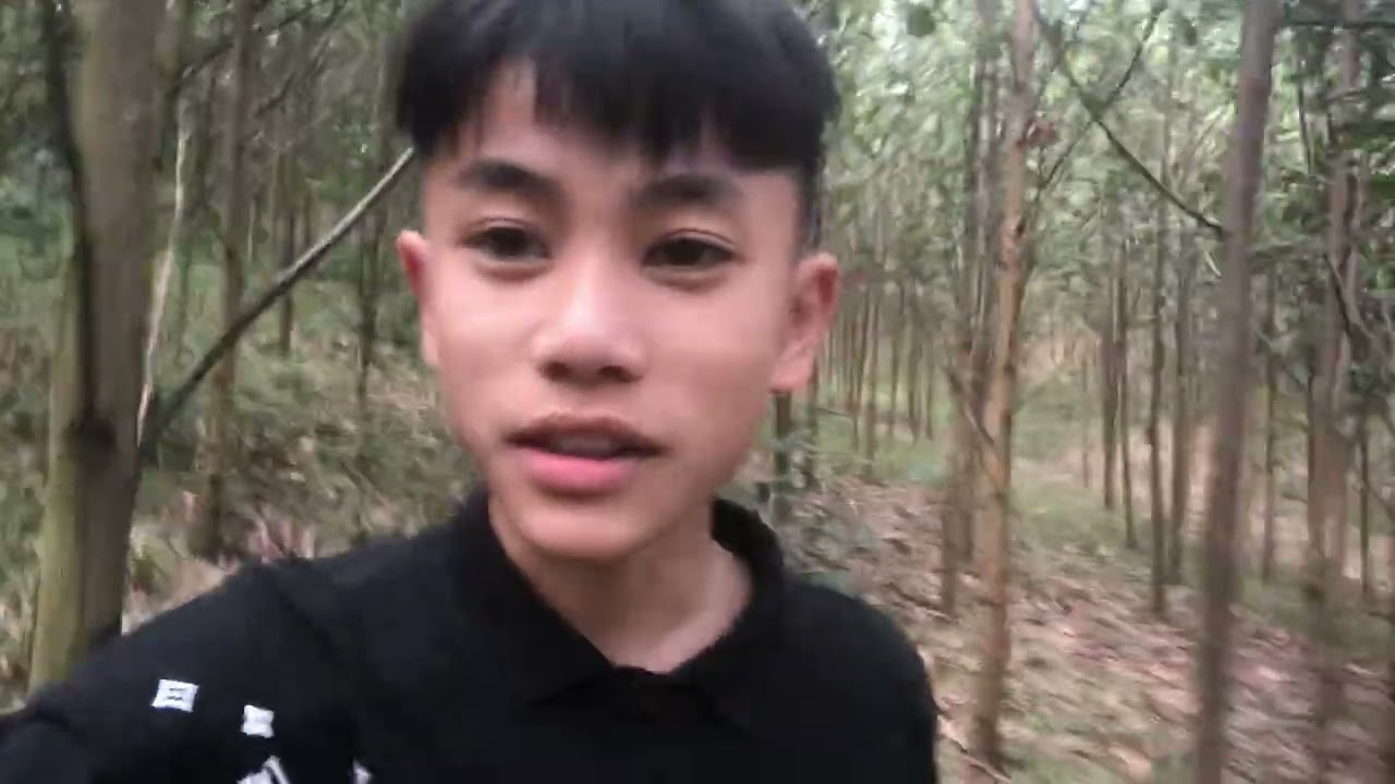 Thử thách trốn tìm trên đồi 