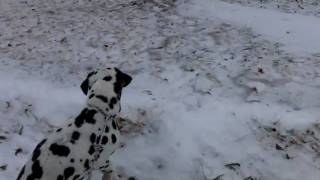 CIMG5366.AVI