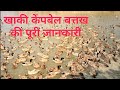 Khaki Cembell Total Information खाकी केंपबेल बत्तख की पूरी जानकारी Khaki Cempbell Duck Farming