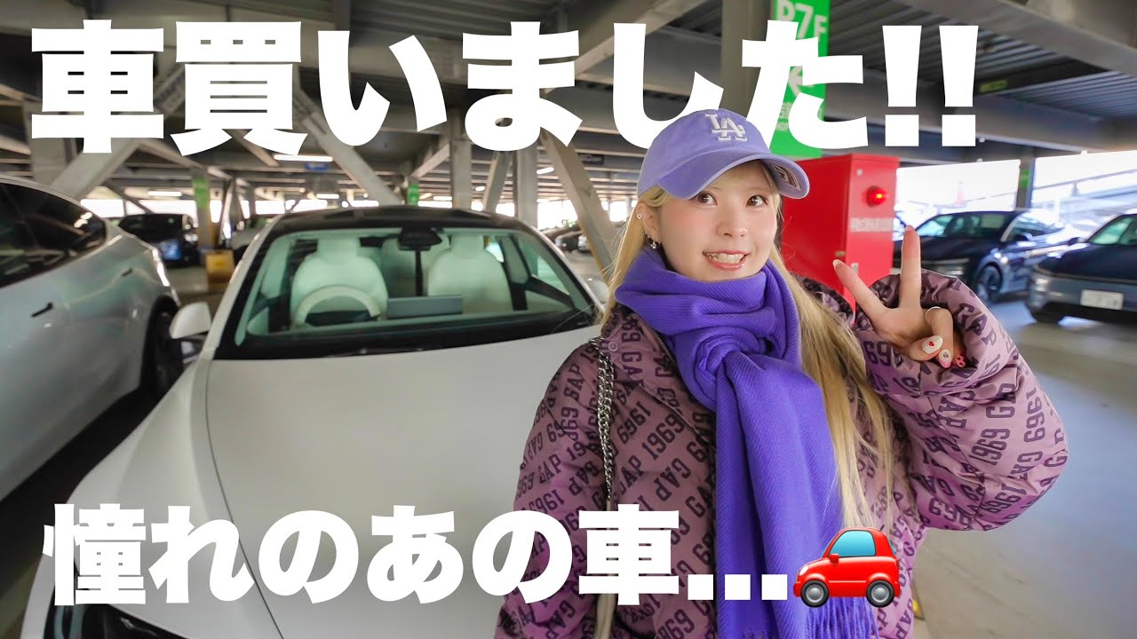 妻、車を買う。【テスラ】