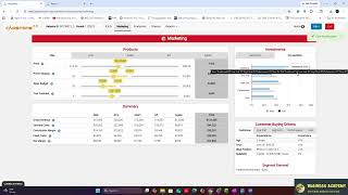 CapSim Capstone 2.0 Marketing Decisions Demo