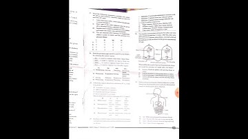 NSO QUESTION PAPER 2023-24 | SET A