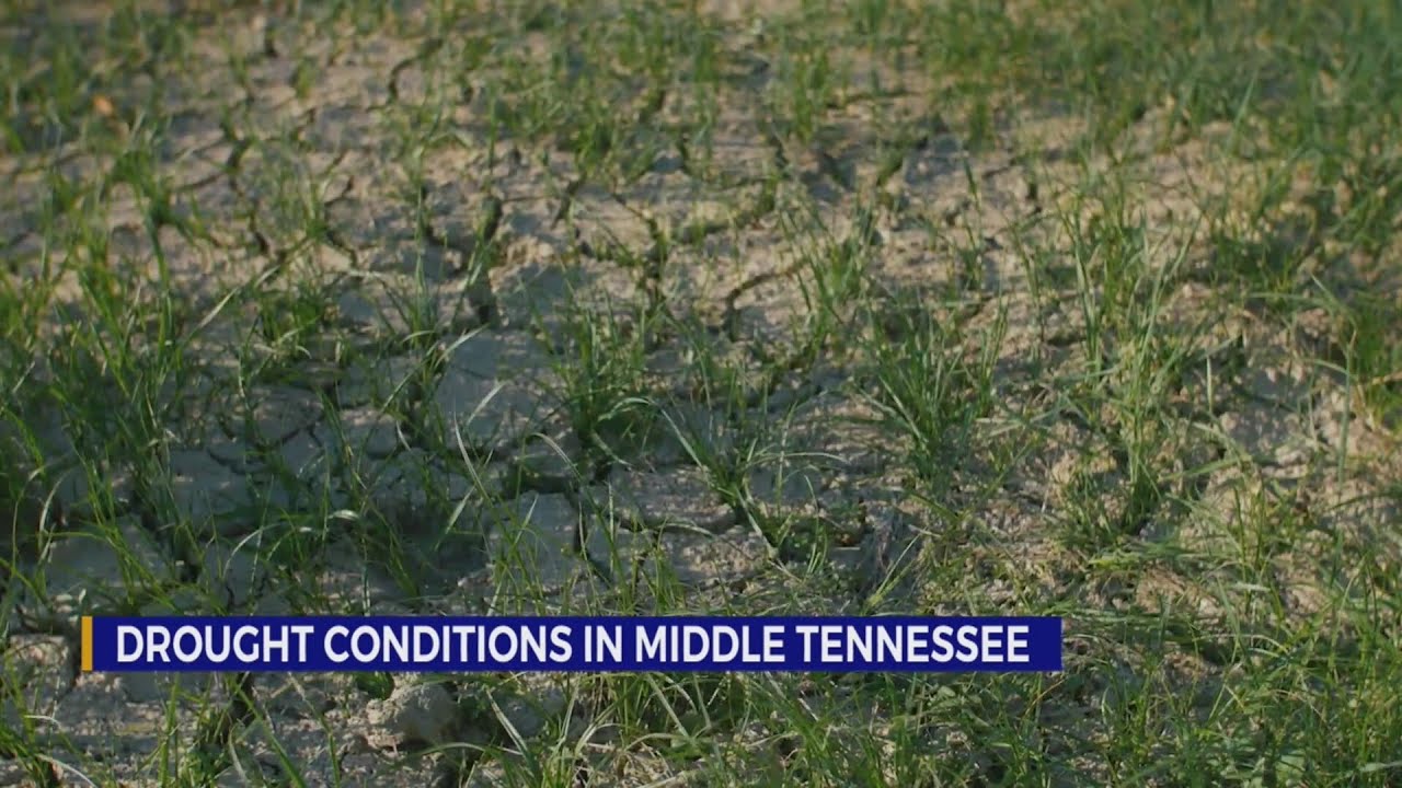 Drought conditions in Middle Tennessee - YouTube