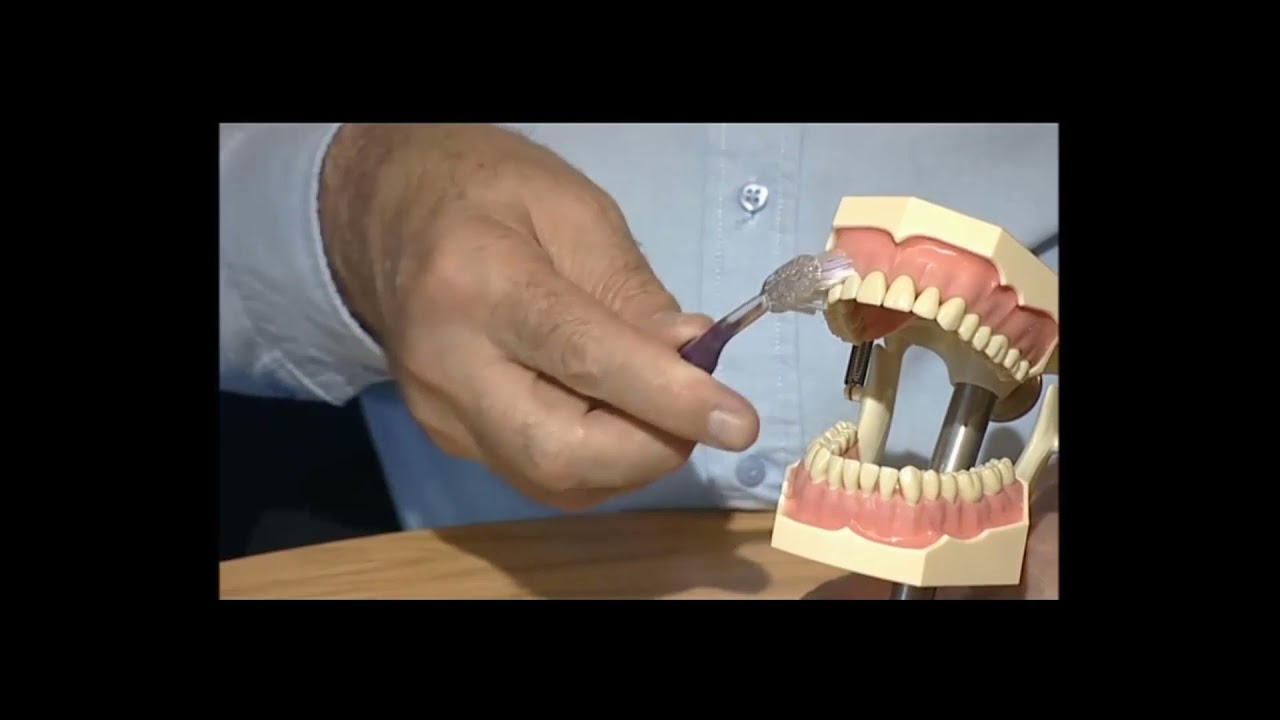 3 How to Toothbrush - 02 How to clean Your Teeth Videos - 03 NEW Dental Health