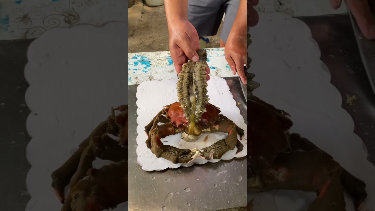 Expinsive sea cucumber 😱 look at the spikes 