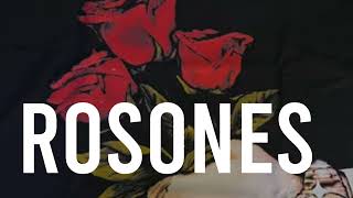 ROSONES- Tito Double P(Letra/Lyrics)2026