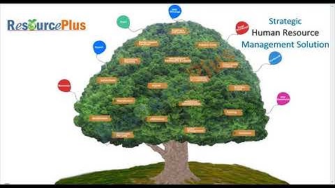How to set a default Shift to an organization in ResourcePlus HRMS application?
