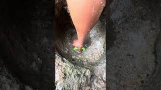 discovery of a hole in the rock containing large amounts of gold